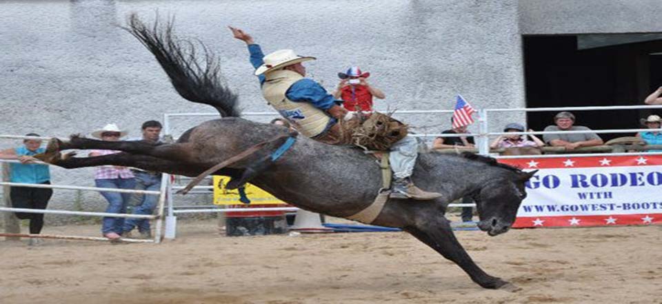 rodeo